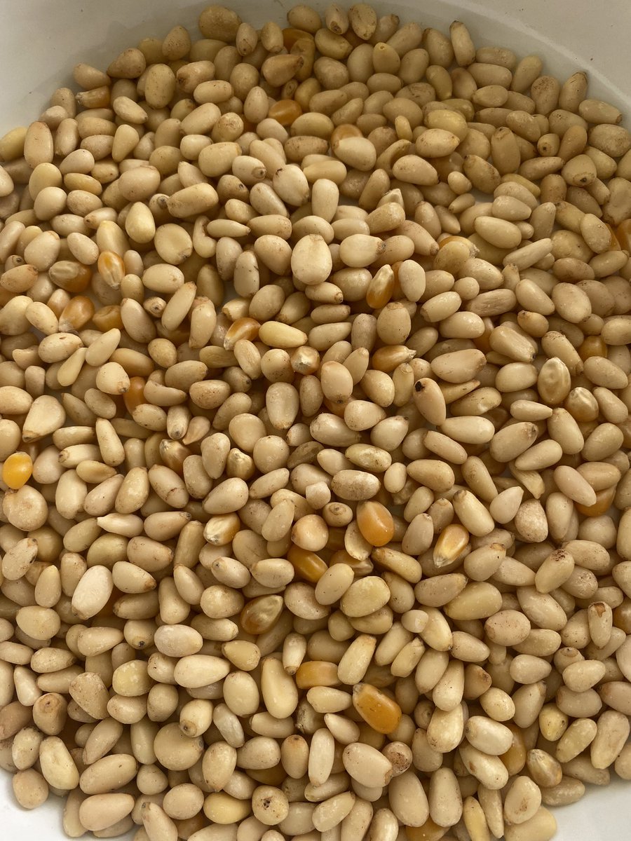 Ca va <a href="/GroupeCarrefour/">Groupe Carrefour</a> de mettre des grains de maïs dans les pignons bio ? Sachant que le prix est fixé au poids !!!