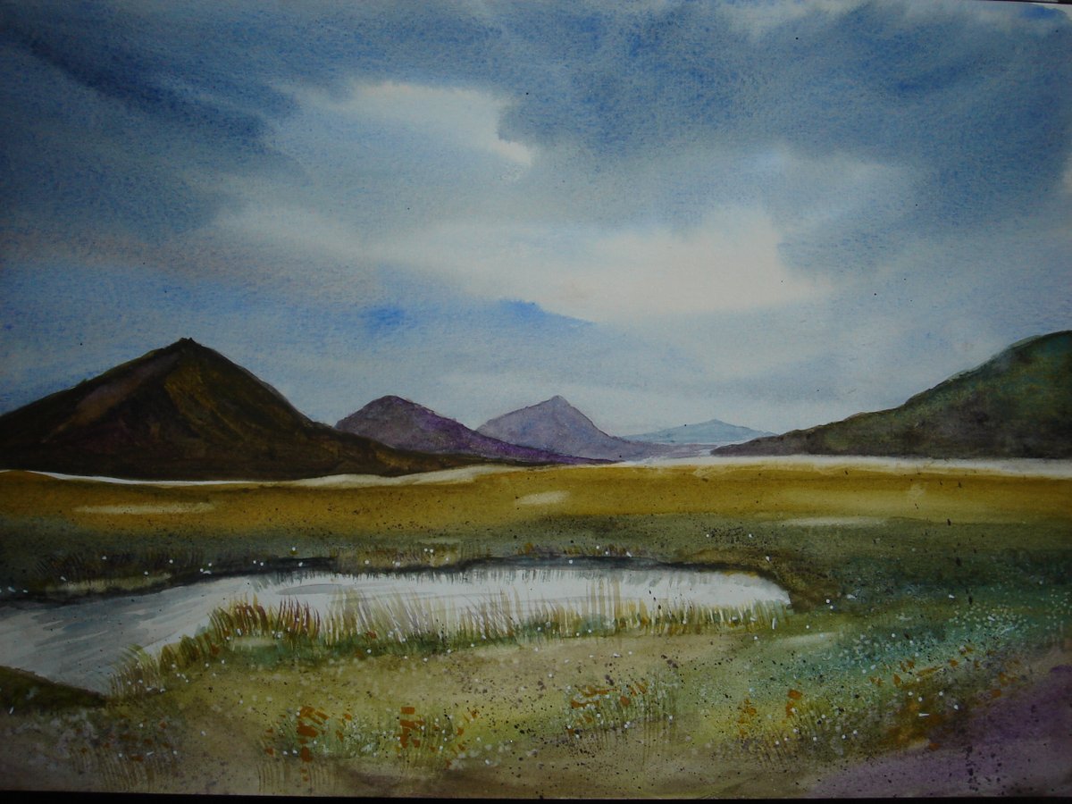 TweetHeike_HHL's tweet image. Welcome to Scotland! Inspired by a Karen Rice tutorial. Salt and white acrylic pen have assisted me in creating this masterpiece.
(300gsm hot pressed paper, A4, Daler & Rowney, paint time 2 hours)
#HeikeAndDinoPaintWatercolours