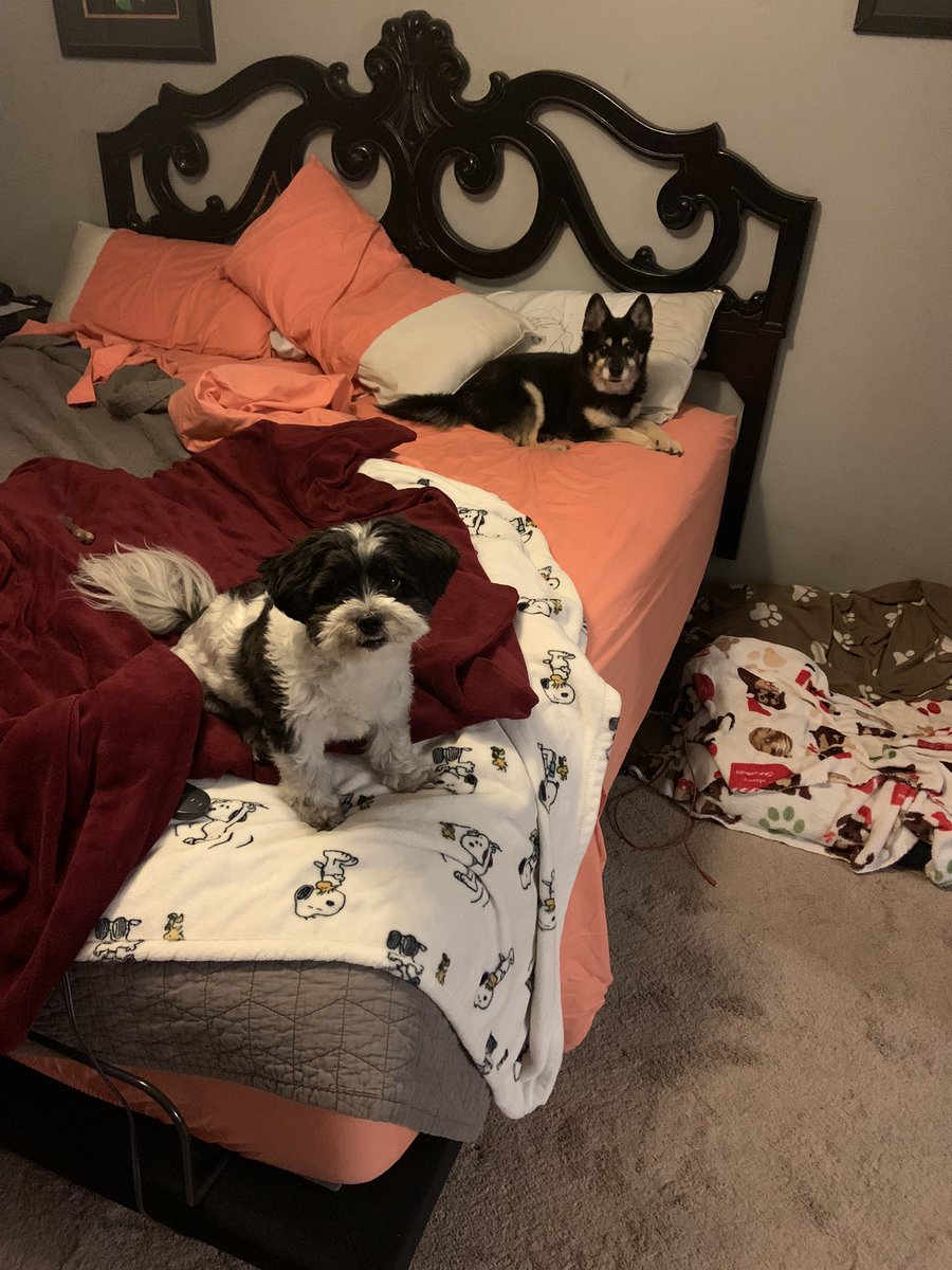 Today is our grandma’s birthday <a href="/Beverly04092939/">Beverly Edwards 🐕🤶</a> if she could get some birthday wishes we would love that. Happy Birthday Grandma 🥳