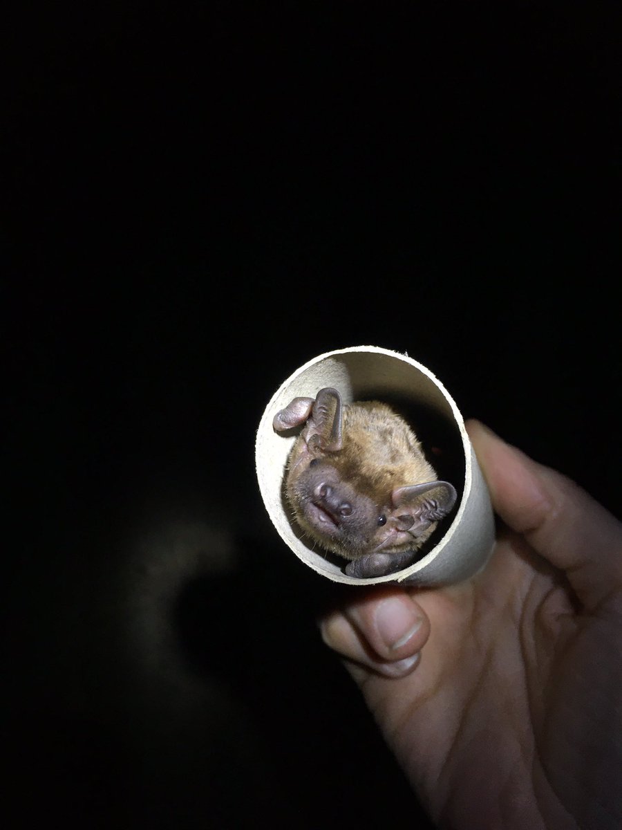 Marit Kelling tweet media