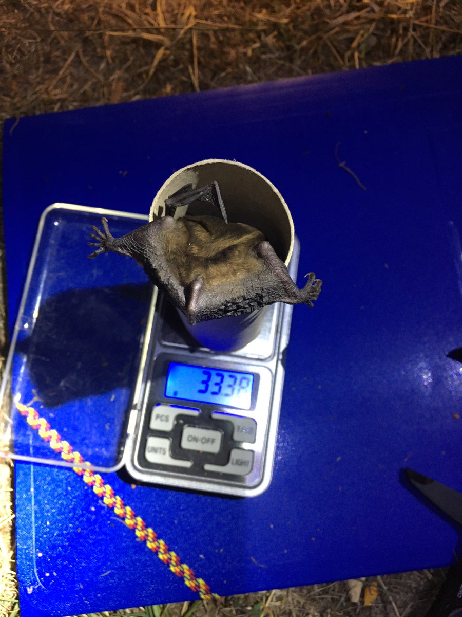 Marit Kelling tweet media