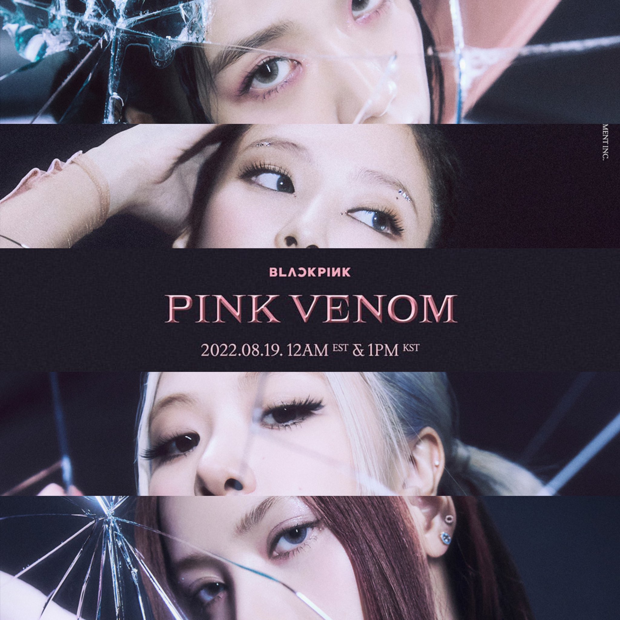 BLACKPINK BLINK UNION 💕 on Twitter: "#BLACKPINK 🕷“PINK VENOM”🕷OUT THIS