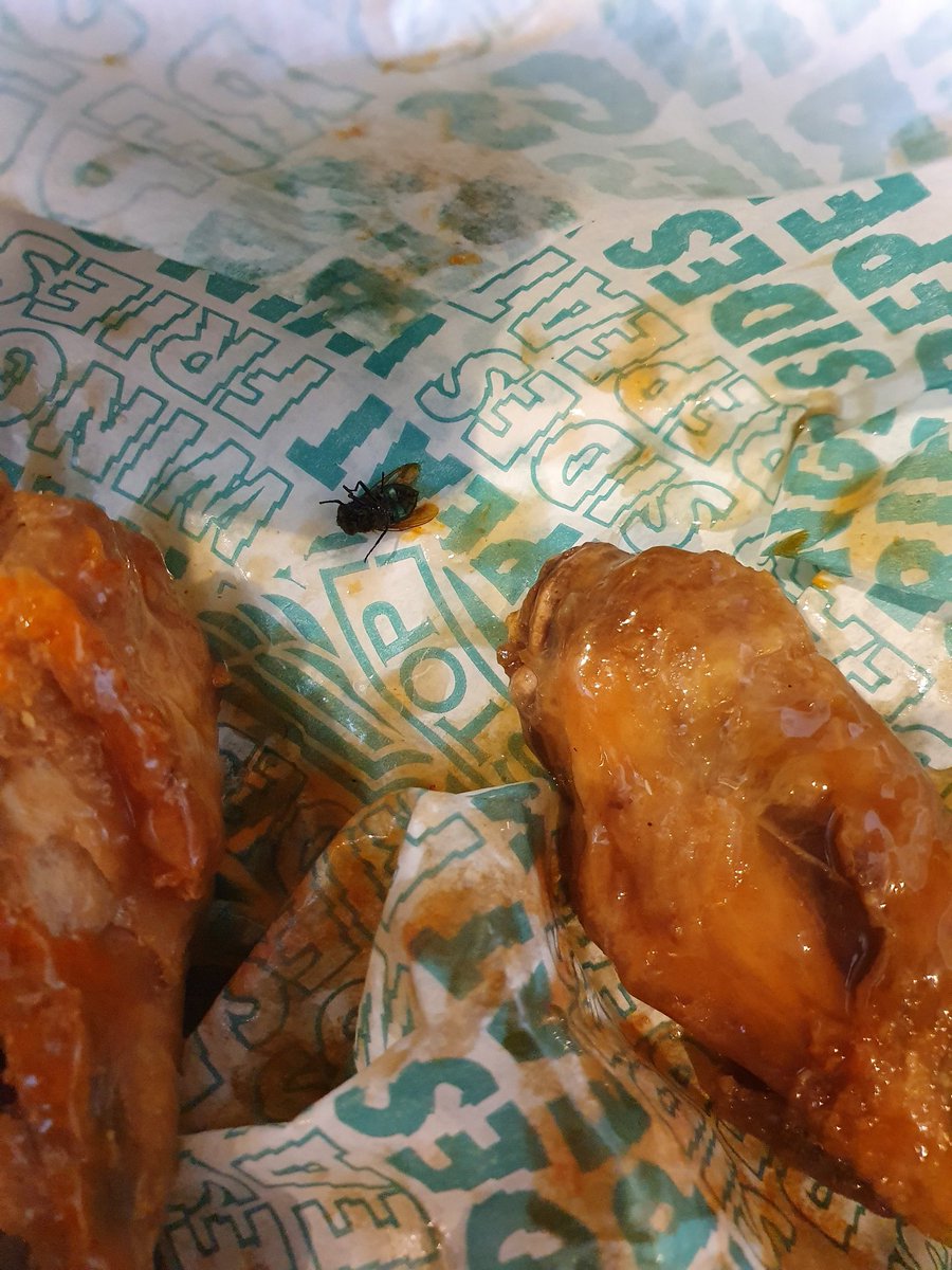 jurakh's tweet photo. @WingstopUK fly in chicken wings bought from your Reading #Oracle branch #wingstop https://t.co/1A6R9HtDWJ