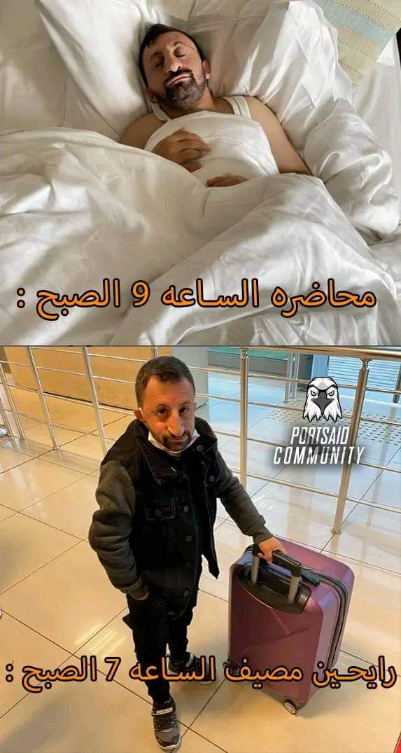 arabmemesss's tweet photo. حرفيا https://t.co/lD3gvKR7Tf