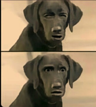 CAROLLY_3560's tweet photo. @bonifacemwangi @RailaOdinga @MarthaKarua me when I turn on Citizen TV VS me when I turn on NTV
like I don't know who tf is leading fr fr🤕🤕 https://t.co/qN05lYCFF3