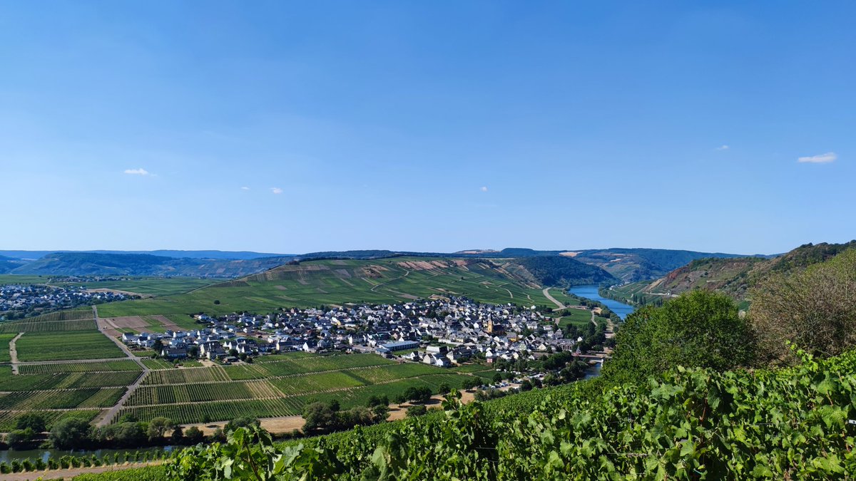mymyl_com's tweet photo. Remontée de la #Moselle jusqu'à #Trittenheim 🇩🇪 https://t.co/ZUb7yXj8nv