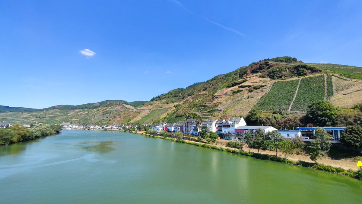 mymyl_com's tweet photo. Remontée de la #Moselle jusqu'à #Trittenheim 🇩🇪 https://t.co/ZUb7yXj8nv
