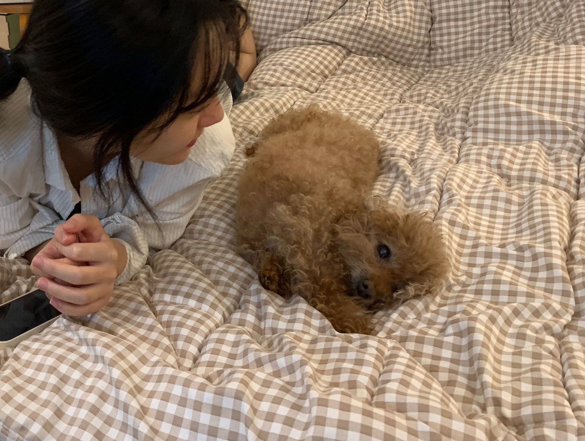 juyeoncandy's tweet photo. 고독방 캐오랜만이잖아 ,, https://t.co/S7H8WLtxBA