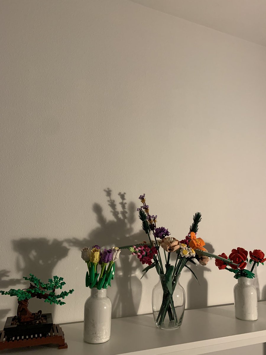 gabe ☆ (@gabrielsolisxx) on Twitter photo 