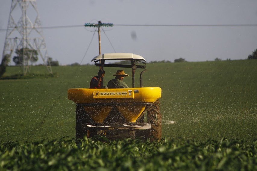 aic_vzla's tweet photo. Aplicación de fertilizantes con la abonadora. El maíz está listo para seguir creciendo.
#agroinsumoscapital https://t.co/Phk5zw5ZvM