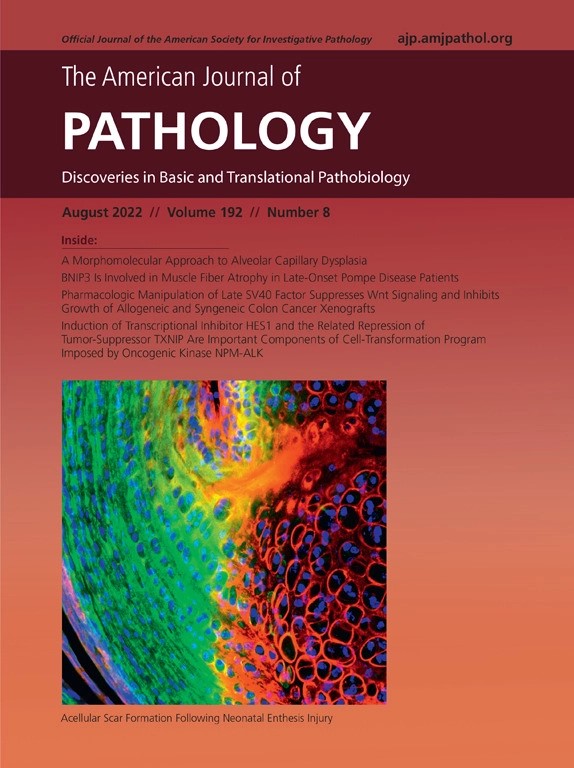 The American Journal of Pathology tweet media