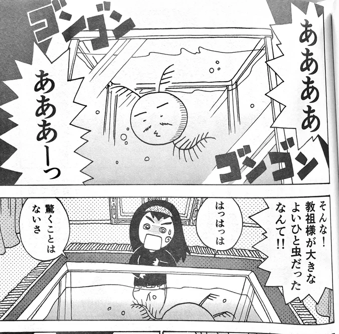 主人公が信じる教団の教祖さまもでっかいミジンコだった、というのはもちろん仮面ライダーストロンガーからのいただきであります。 
