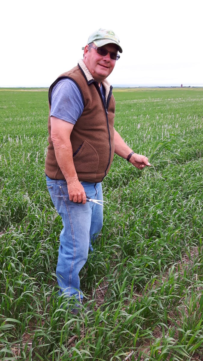 Congrats 🎉 to Dr. Jeff Schoenau of <a href="/agbiousask/">USask AgBio</a> and all of the new inductees of the Saskatchewan Agricultural Hall of Fame! #USaskResearch #USaskAlumni 

Learn more > bit.ly/3QtHGgc