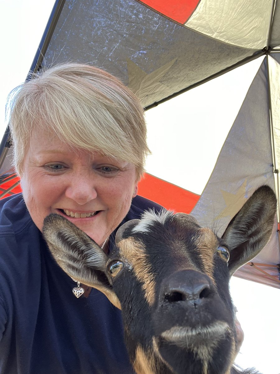 Mary Marshall tweet media