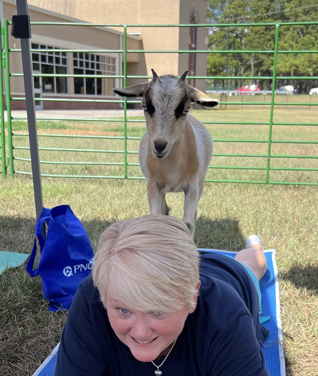 Mary Marshall tweet media