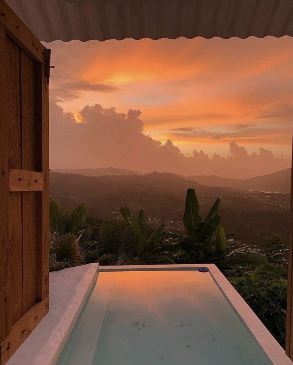 SocialCentury's tweet photo. @DogsTwt Sunset in Puerto Rico                               #socialcentury https://t.co/itdAI0BvrB