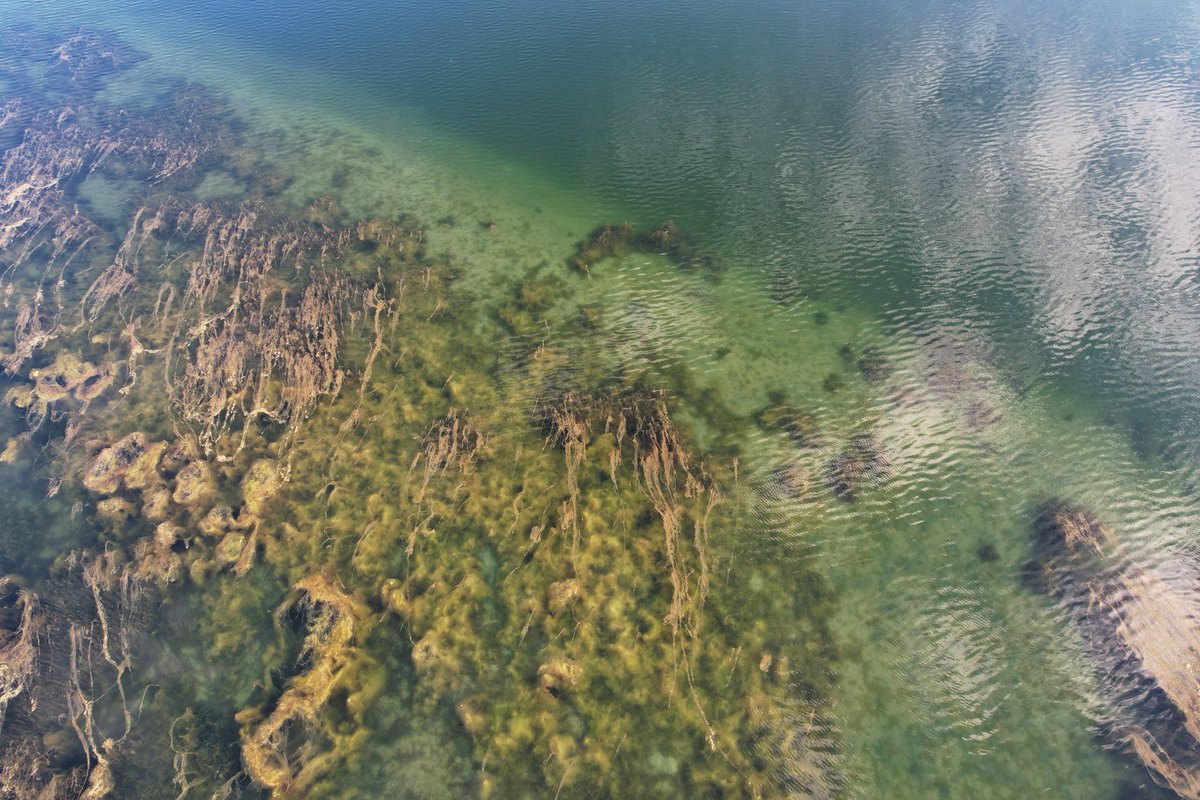 StrandloperP's tweet photo. The #StrandloperProject has initiated a #drone mapping study of blind #estuaries in the #GardenRoute to determine the impact of #climatechange driven change of rainfall on these #ecosystems. https://t.co/WQI0szUtQA