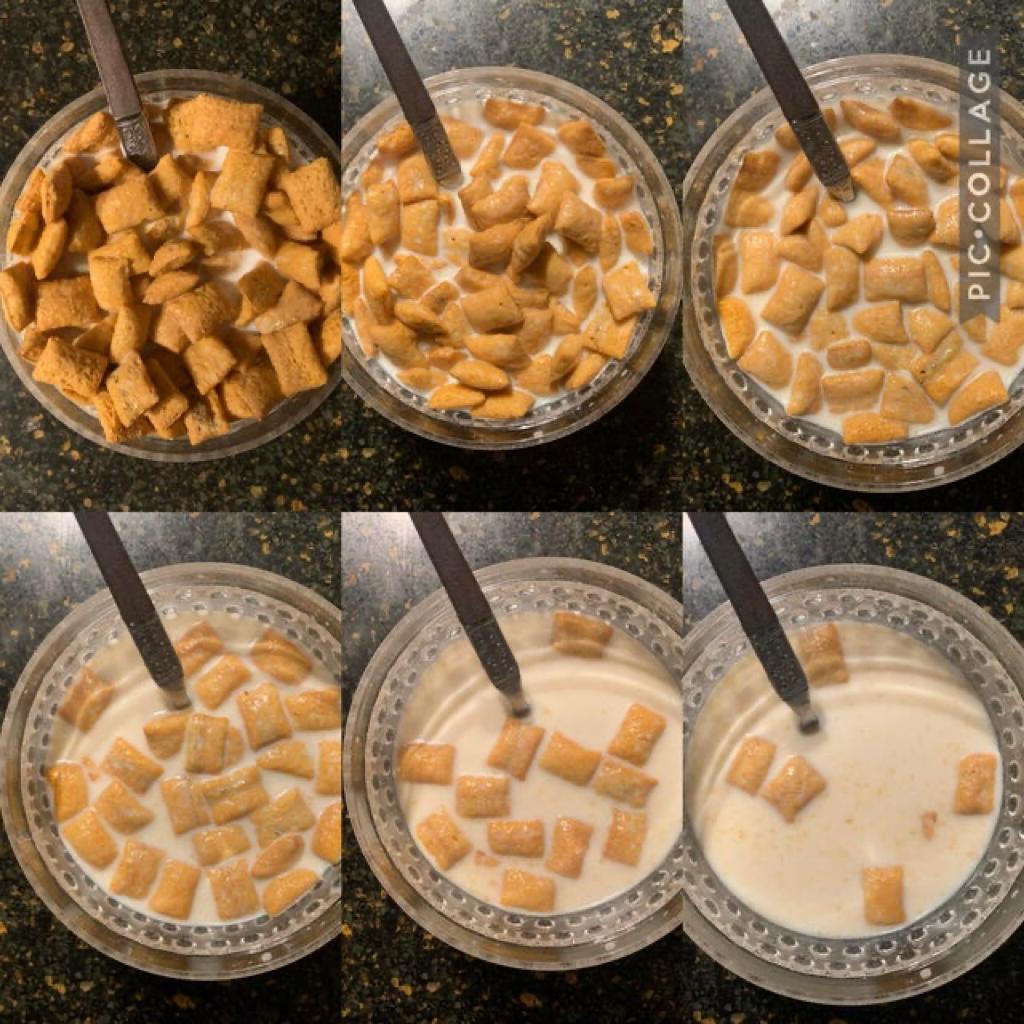 sud373's tweet photo. Cereal Dilution.... 😆😆#microbiology https://t.co/3XPoia56El