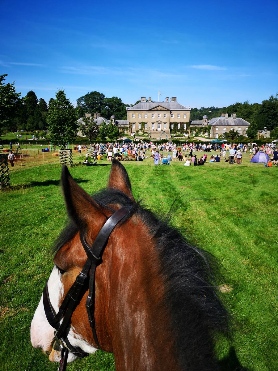 PSOSHorses's tweet photo. Hi everyone Nairn here! Today Harris and I had a lovely day @Dumfries_House annual dog show. We met lots of lovely people which is great for my training and I got carrots! I'd hoped Prince Charles might have been in, he likes Clydesdales like us, but maybe next time?! 🤔🐴👑 https://t.co/esiBLUKFRm
