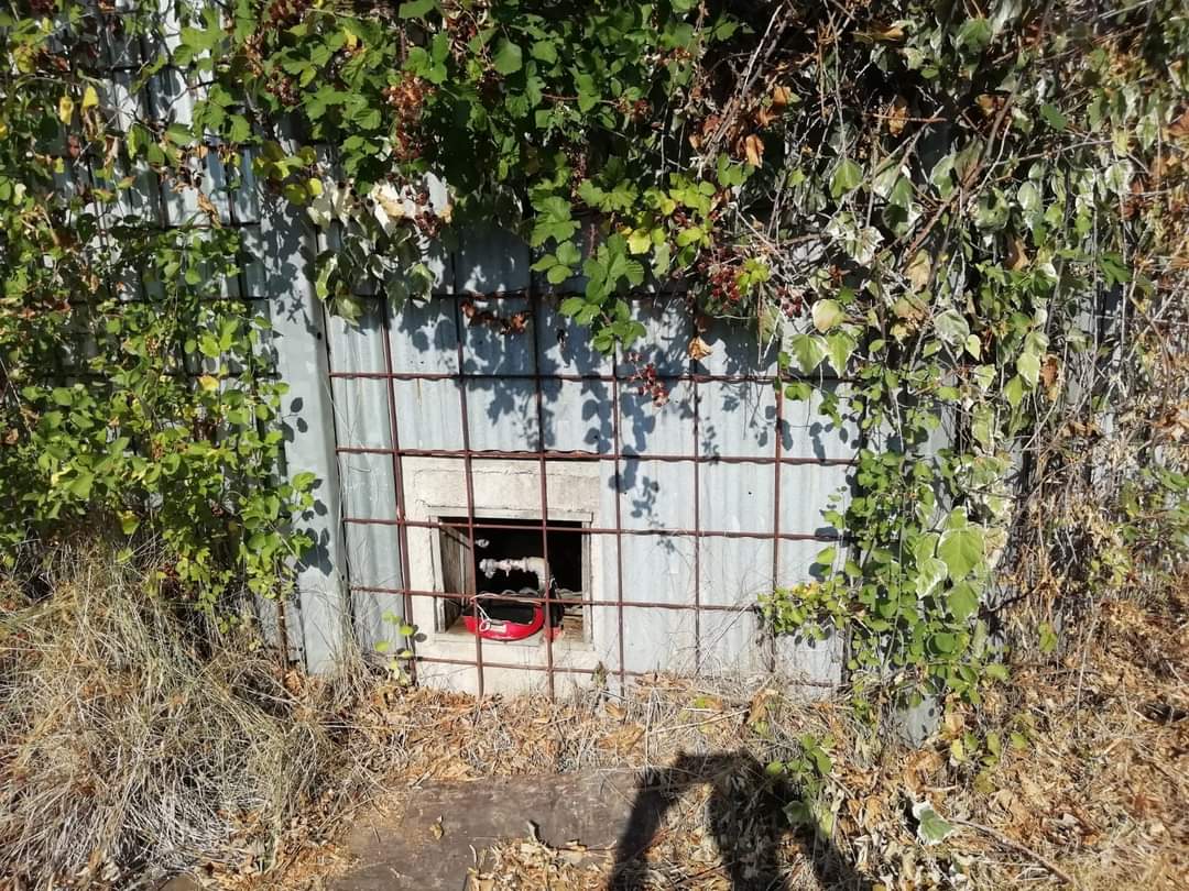 Lucapergliamici's tweet photo. Iris..
3 anni reclusa nella sua prigione. Acqua e cibo somministrati attraverso una rete. È stata messa in salvo, operata e sterilizzata. Ora merita solo il meglio.
Si trova in Campania ma per una buona adozione arriva ovunque. 
Info in privato. https://t.co/jKTjZleJBl