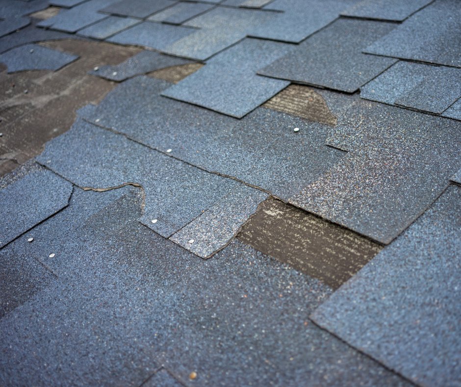 WeathersafeInc's tweet photo. Storm damage comes in many forms, like a fallen tree on your roof or ripped-up shingles from high winds. Whatever damages you have, we’ll do an inspection and help with your insurance claim as well. #haildamage #roofdamage https://t.co/mQ5A5itC8e