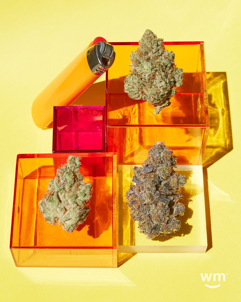 weedmaps's tweet photo. Brighter daze ahead 🔸🌿 https://t.co/ROxOYfRSxn