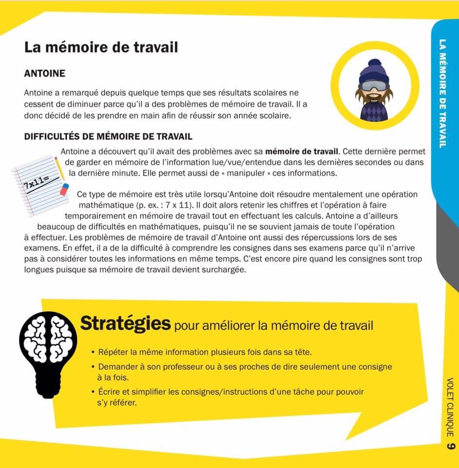#Enseignement #cerveau Voici une trousse d’information destinée aux adolescents sur le fonctionnement du cerveau et les stratégies qui peuvent être utilisées afin d’améliorer le fonctionnement au quotidien fourwaves-sots.s3.amazonaws.com/static/media/u…