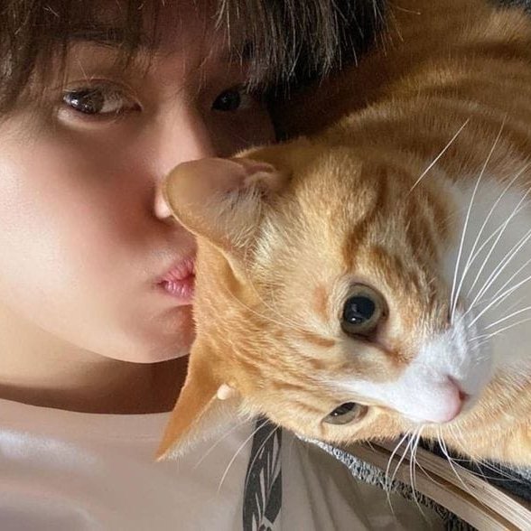 ʚĭɞ | MANDEN CC tweet media