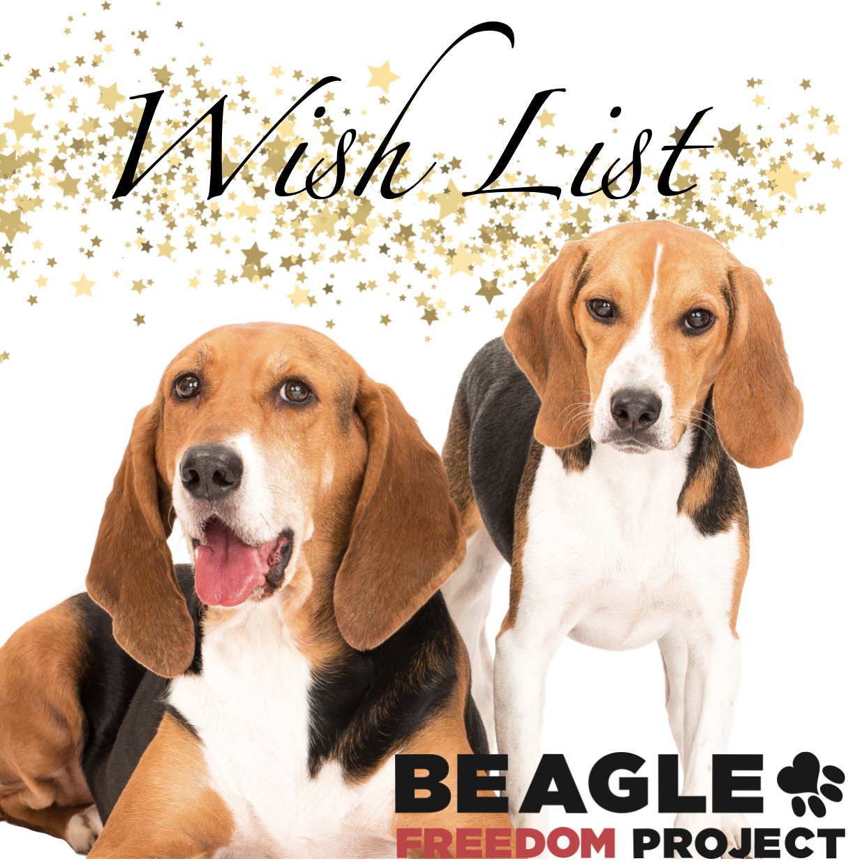 Beagle items cheap