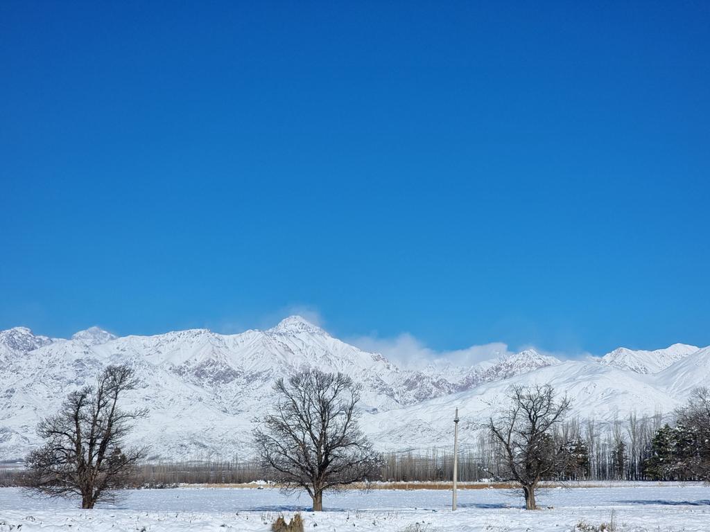 MaxMorrone's tweet image. Manto blanco...