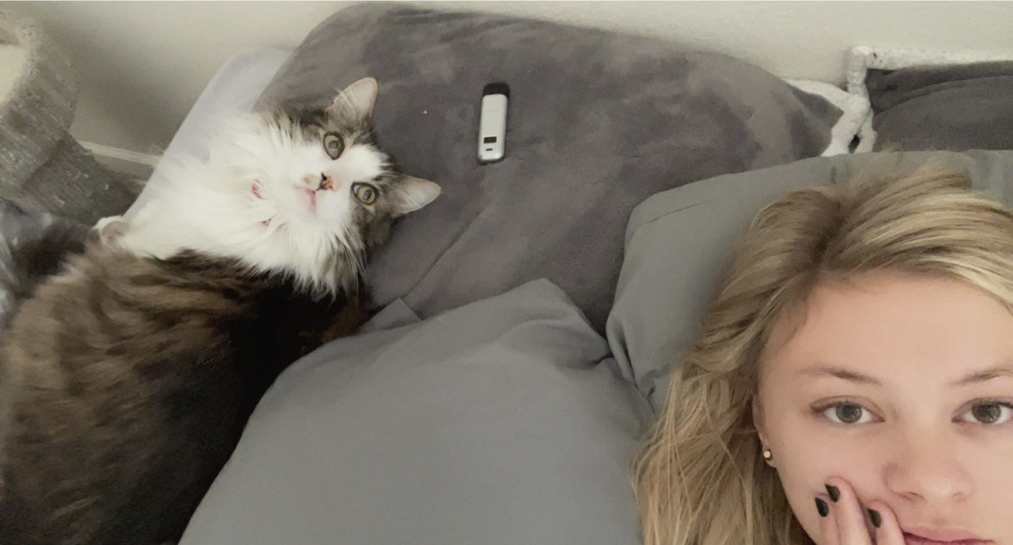 Amber Moore on Twitter: "Good morning from us☀️ https://t.co/zlusPuWSSI ...