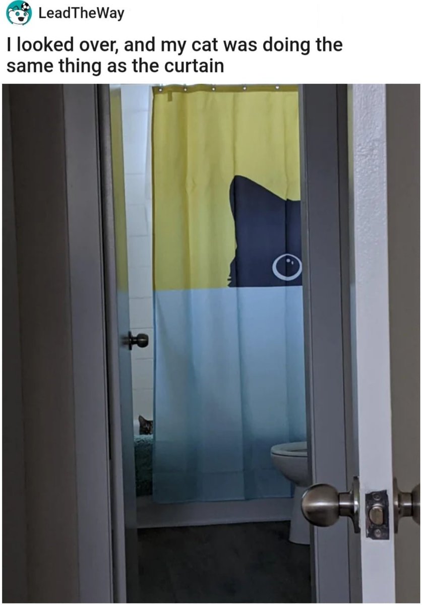 WholesomeMemes tweet media