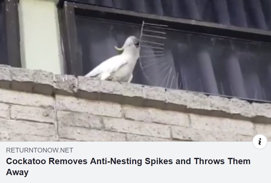 hostiledesign's tweet image. 