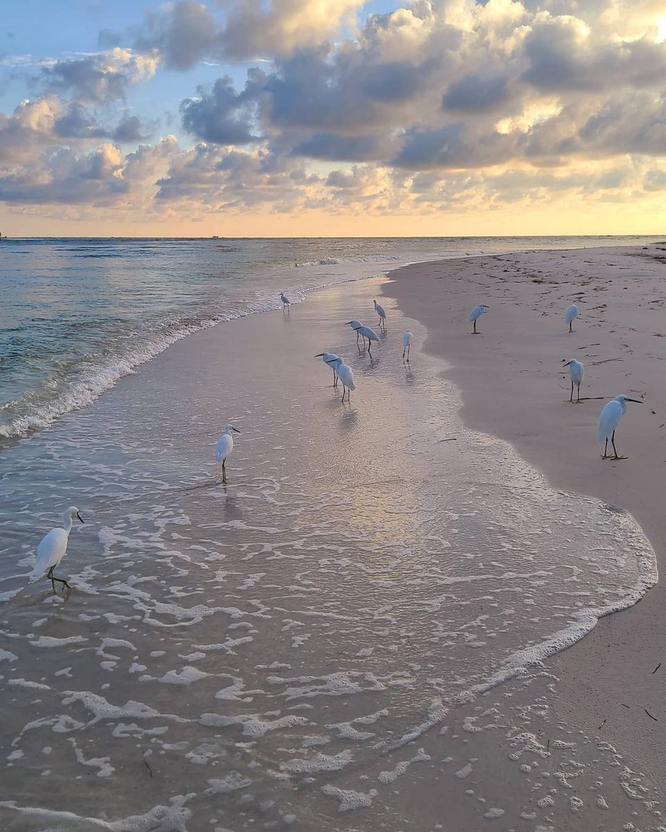 Once you get out here... You'll know what everyone was talking about. #annamariaisland 📷: i.will.see.you.at.the.beach