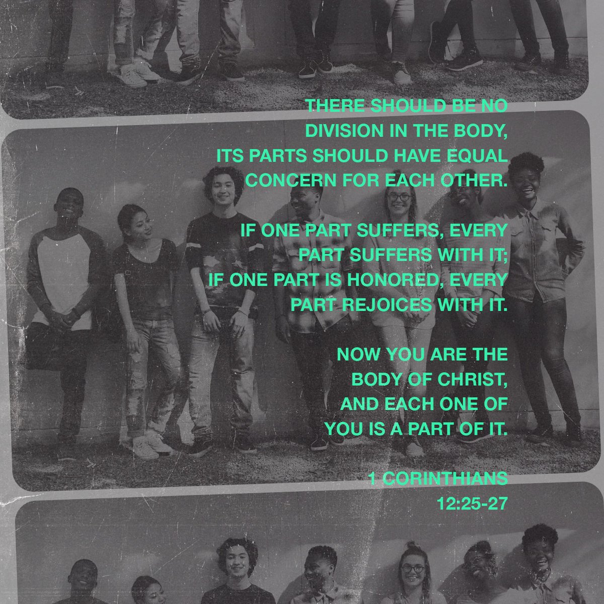 PrimalGuide's tweet image. that there may be no division in the body, but that the members may have the same care for one another. If one member suffers, all suffer together; if one member is honored, all rejoice together. 
1 Corinthians 12:25-27 ESV

bible.com/verse-of-the-d…