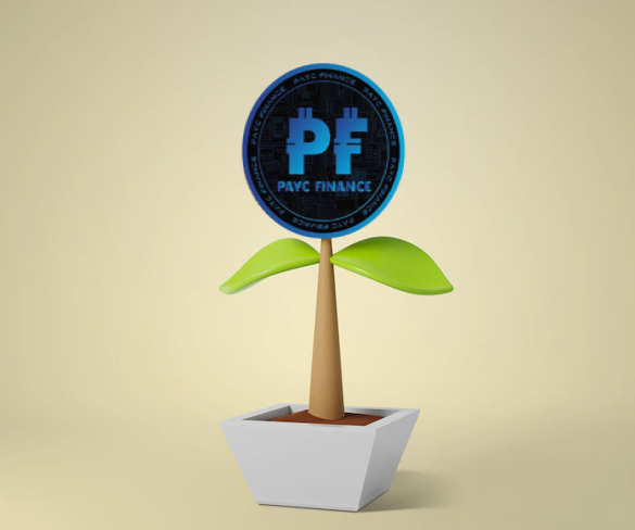 FinancePayc's tweet image. To grow, flowers need water. The same applies to projects that require resources. We are currently in the process of optimizing certain process steps and will keep you up to date with regard to the re-launch. 🪙 #paycfinance #payc #token #defi