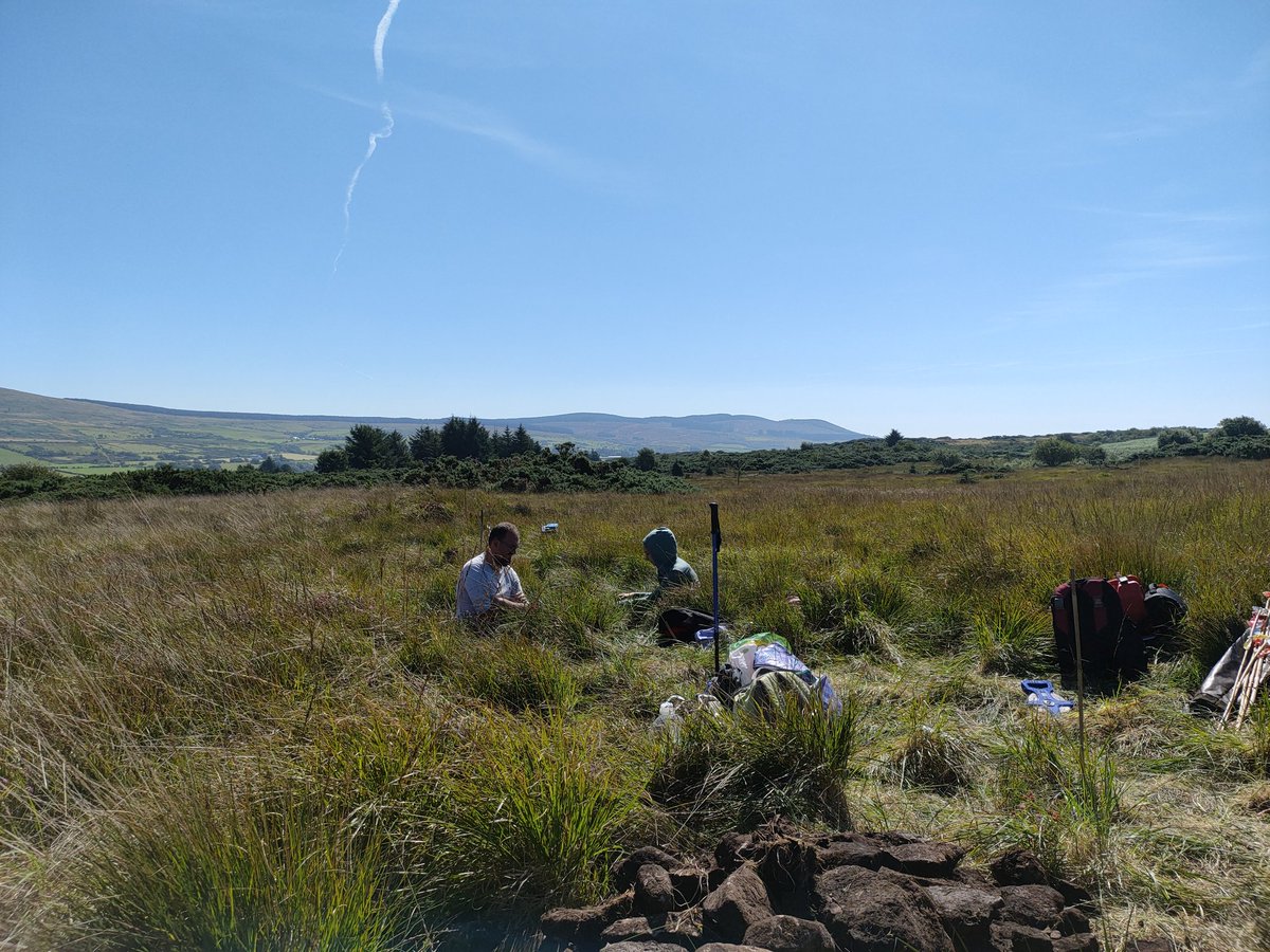 Fossilbeetle's tweet photo. Taking a well earned breather over lunch. #Drumadoon #Arran with @E_L_Jenkins @DrM_Farrell @urbanprehisto @gmacg_1 @McfadyenLesley https://t.co/lYxLDpDucb