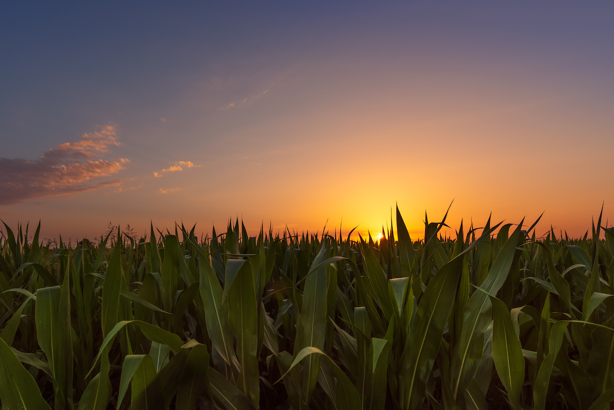 summit_carbon's tweet photo. It's with great pride, that Summit Carbon Soltuions' project prioritizes the future of ethanol and agriculture by partnering with over 30 ethanol plants and many farmers.
For more #projectknowledge, visit the Summit Carbon Solutions website.
https://t.co/nVIdx07Hla https://t.co/hMk7RfryRz