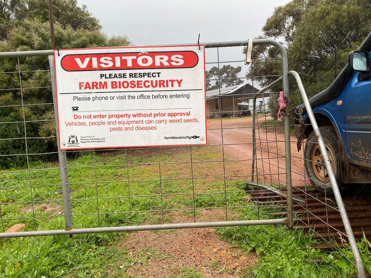 Did you know that free farm gate biosecurity signs can be collected from DPIRD regional offices? Find your local DPIRD office 👉 agric.wa.gov.au/office-locatio…