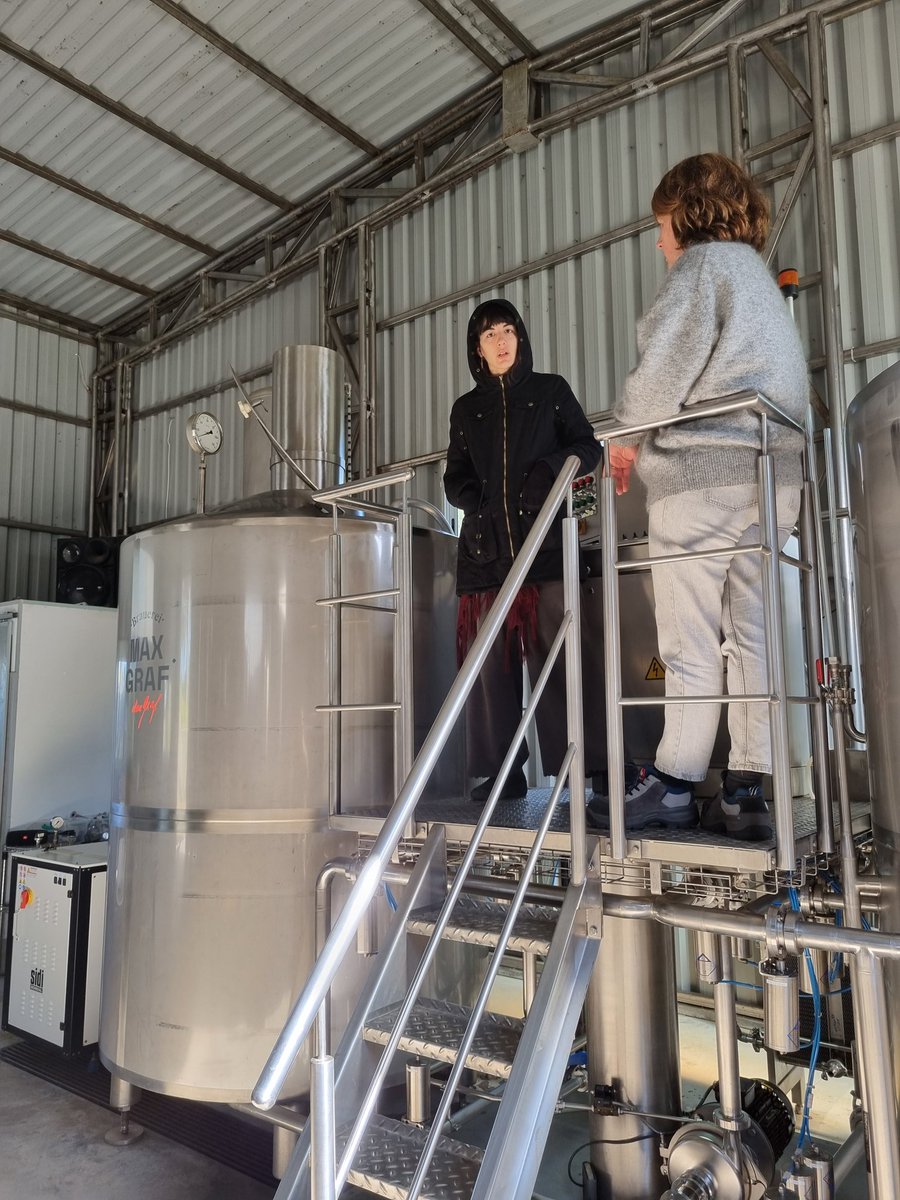 Hermosa la producción de Cervecería Max Graf, por dentro y por fuera Cerveza de la clásica escuela alemana, producida respetando la "ley de la pureza". Aplausos a Daniela la maestra cerveza a cargo #cervezaartesanal #cerveza #craft