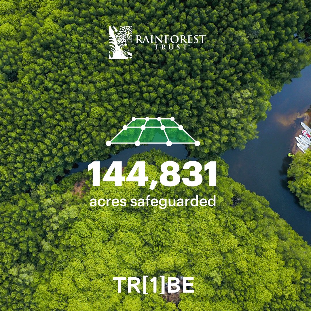 wearetr1be's tweet photo. We are super proud to be supporting amazing rainforest projects across South America alongside @RainforestTrust 

Our recent contributions have now helped safeguard over 144,831 acres across this region!

#protectrainforest #climateaction #savetrees https://t.co/pSjaMjlYHn