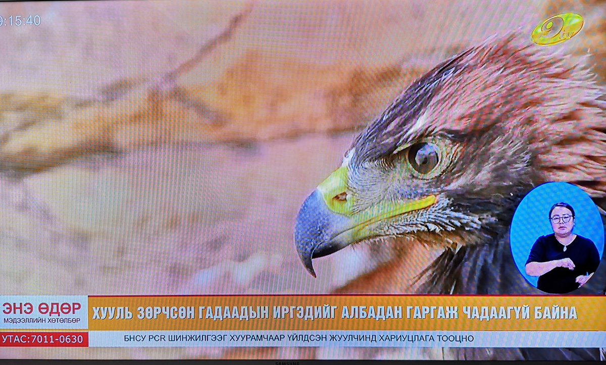 ТВ9 гэх марзан телевизийн мэдээний дүрс үнэгүй бэлтгэх гэж 2013 оноос хойш өр зээл тавьж, өвчин зовлонд ээрүүлж явсан болж таарлаа. Хүрээлэн төслийн  дүрсүүдийг энэ телевиз "асуудал дэвшүүлж", бусдыг цоллохдоо баруун солгойгүй ашиглачихдаг гэнэ. Хулгайч! 
#оюуныөмч