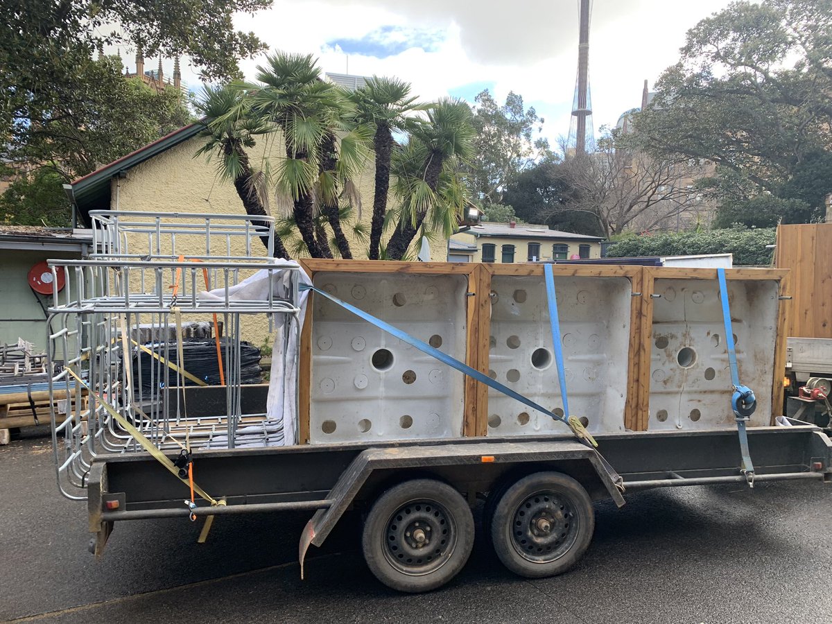 Dawe4Peter's tweet photo. Took delivery of these sustainably made from repurposed IBCs #ECOPod #wickingbeds today - made in Coonabarabran & cladded with off cuts from the mill in Pilliga & canopies made locally also ππ looking forward to getting them out into schools in the coming weeks π± https://t.co/mLK1LNnUYg