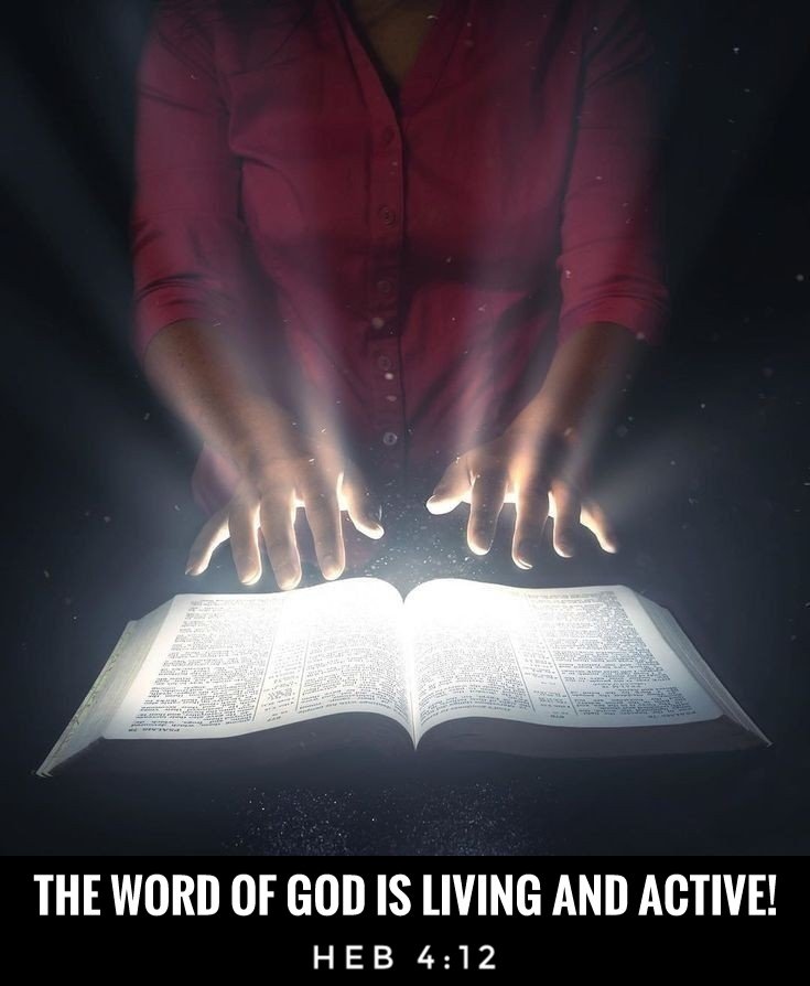 ministerricky1's tweet image. Almighty God the wicked in high places try to silence #YourHolyWord in our lives that they may lead us astray

Please #FillUs with the #LightOfYourWord in #YourHolySpirit to #GuardAndGuideUs &amp;amp; #ReflectIntoTheWorld

In #JesusChrist's AllPowerful Name

TY
#EuropaAfricaUS