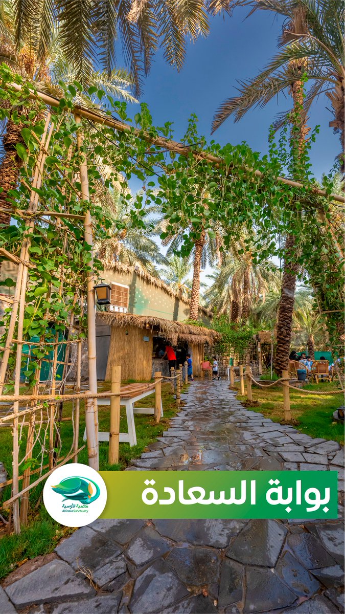 تخيل هذا الجمال في المدينة المنورة 🥰🥰🥰🥰🥰
#محمية_الاوسية
#المدينة_المنورة