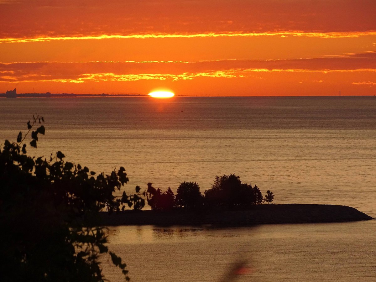 DaphneLHunt1's tweet photo. Sunrise under construction at Rosetta McClain Gardens.
#TheSunriseProject #RosettaMcClain #Bluffs #BluffersPark #BirchCliff #Cliffside #Cliffcrest #Scarborough #Toronto #LakeOntario #TorontoLakefront https://t.co/GUfwSGhvcV