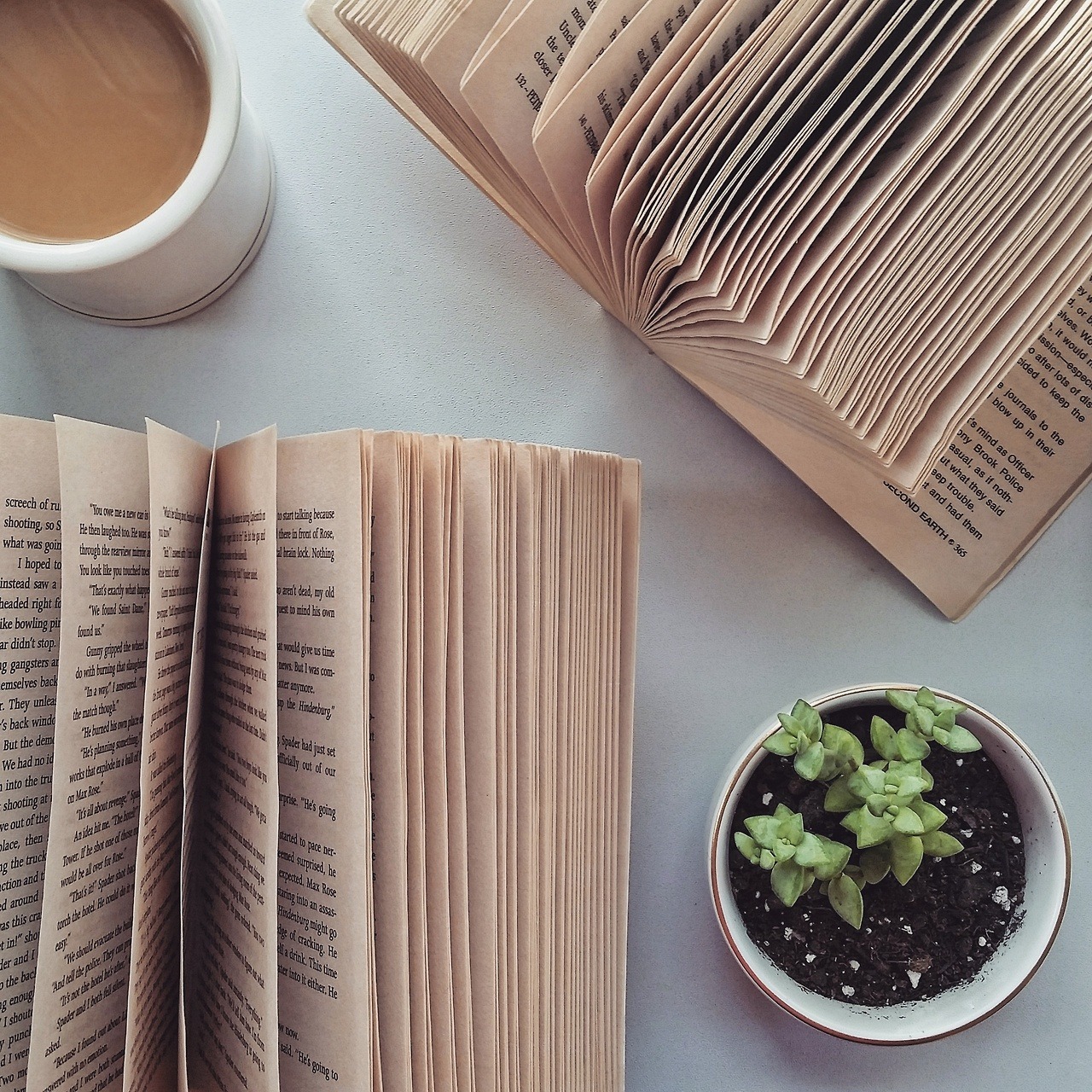 Aesthetic Center book Design