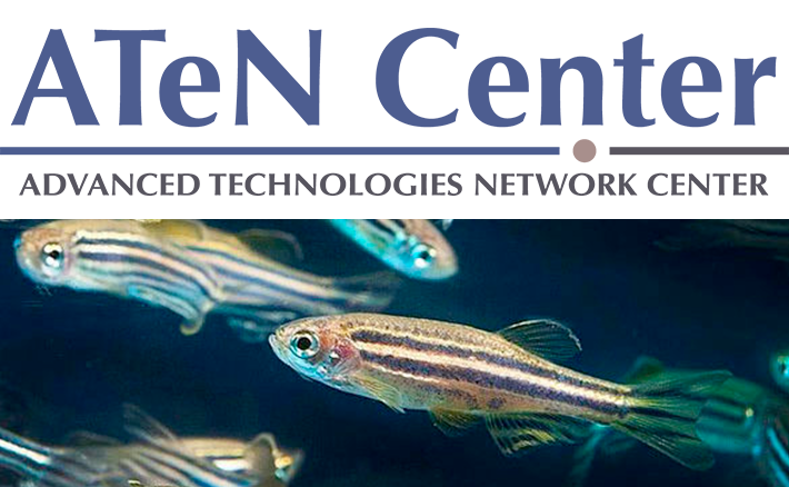 unipa_it's tweet photo. Corso nazionale di formazione teorico-pratico sull’utilizzo di Zebrafish a fini scientifici

📌Iscrizioni entro il 25 settembre 2022 

Maggiori informazioni ℹ️ https://t.co/AROBYtDmrv https://t.co/R6dzIJqkxS