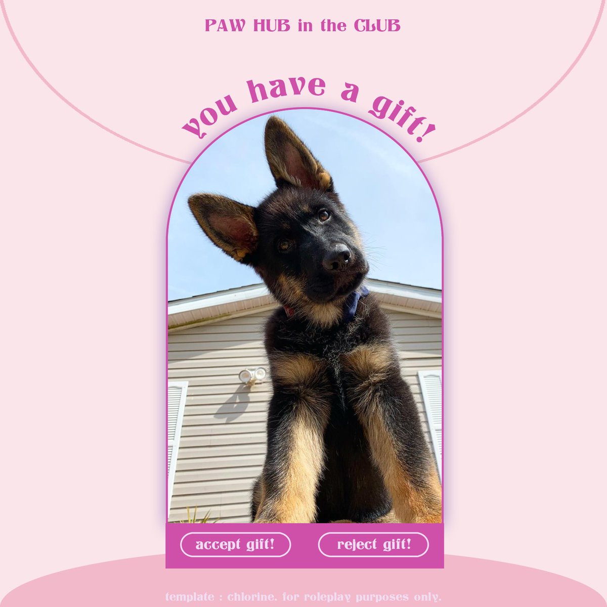 ₍ᵔ•ᴗ•ᵔ₎ tweet media