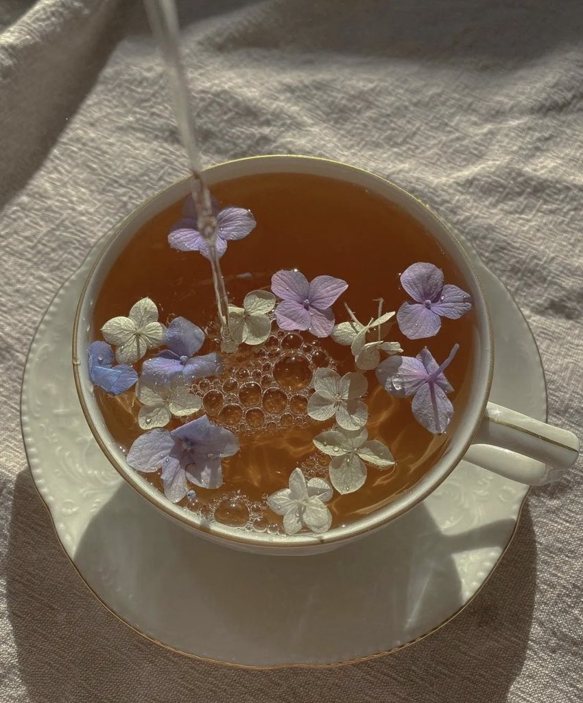 prettiestavenue's tweet photo. tea time. https://t.co/nbrl3b6yxu